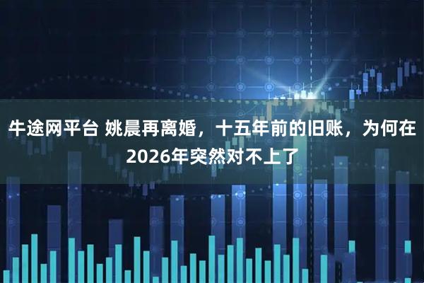 牛途网平台 姚晨再离婚，十五年前的旧账，为何在2026年突然对不上了