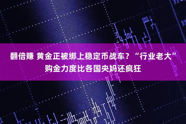 翻倍赚 黄金正被绑上稳定币战车？“行业老大”购金力度比各国央妈还疯狂