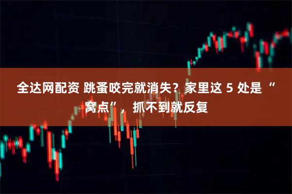 全达网配资 跳蚤咬完就消失?家里这 5 处是 “窝点”,抓不到就反复