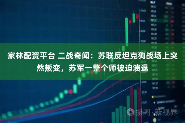 家林配资平台 二战奇闻:苏联反坦克狗战场上突然叛变,苏军一整个师被迫溃退