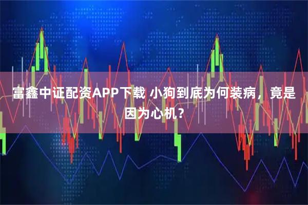 富鑫中证配资APP下载 小狗到底为何装病，竟是因为心机？