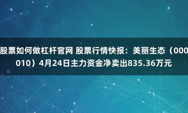 股票如何做杠杆官网 股票行情快报：美丽生态（000010）4月24日主力资金净卖出835.36万元