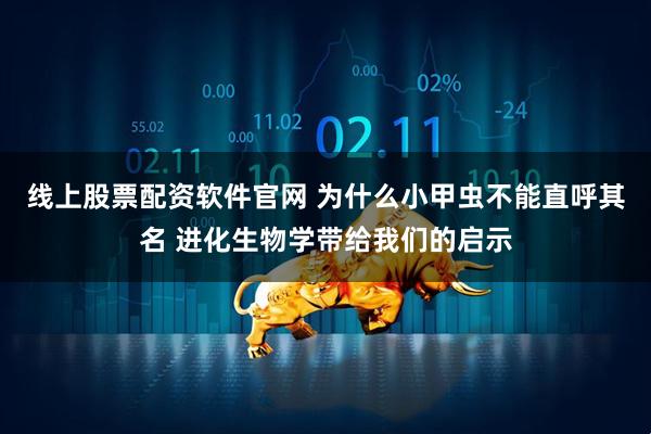 线上股票配资软件官网 为什么小甲虫不能直呼其名 进化生物学带给我们的启示