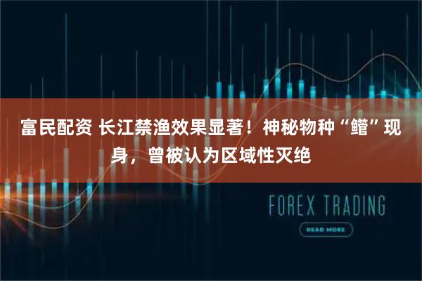 富民配资 长江禁渔效果显著！神秘物种“鳤”现身，曾被认为区域性灭绝